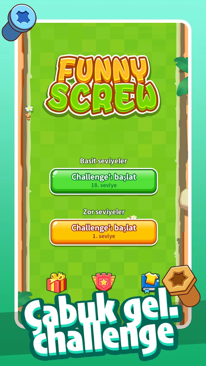 Funny Screw 2